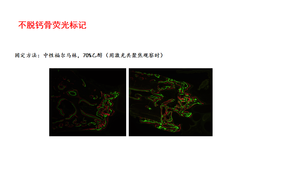 微信图片_20211114151704.png